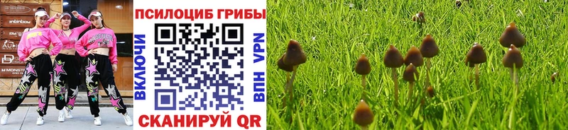 Псилоцибиновые грибы ЛСД  Островной 